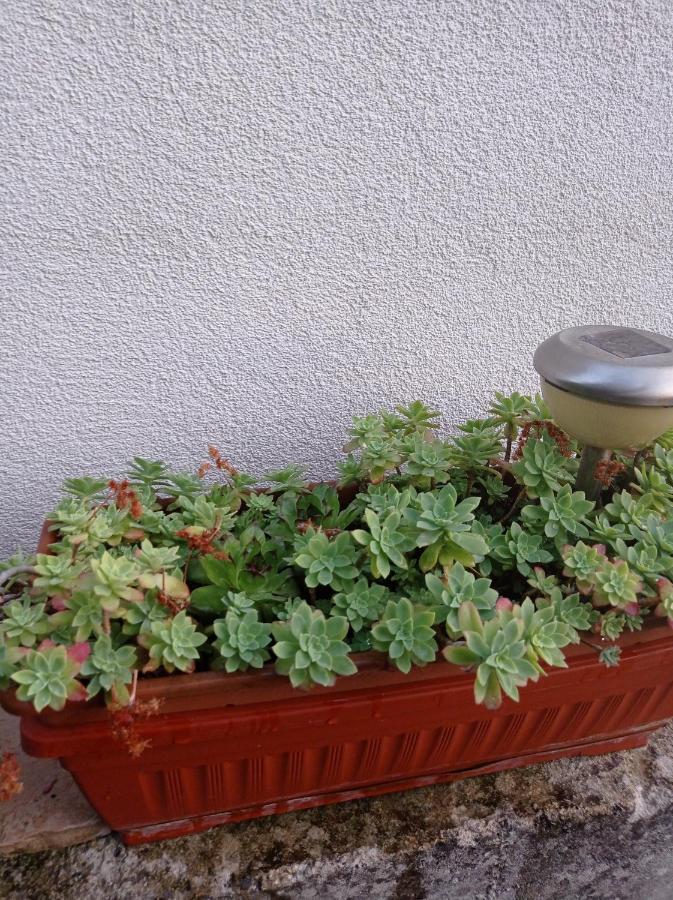 Apartment Silvija Vinišće Zewnętrze zdjęcie