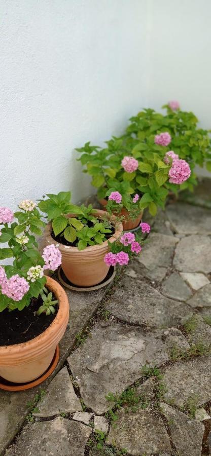Apartment Silvija Vinišće Zewnętrze zdjęcie