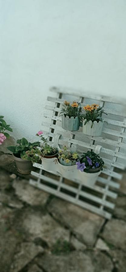 Apartment Silvija Vinišće Zewnętrze zdjęcie